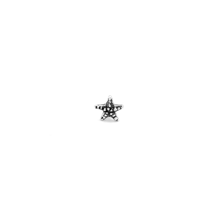Giovanni Raspini Mini Starfish Örhängen - 925 Silverörhängen - 10362/1