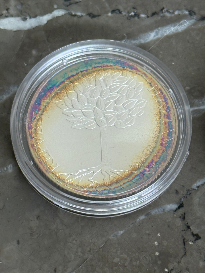 Silver coins €5 €10 The Europe of Peoples