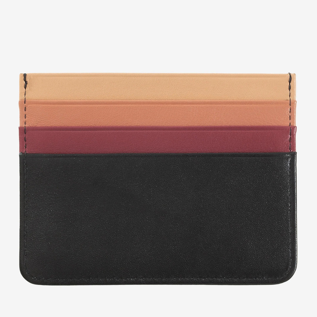 6개의 포켓이 있는 컬러풀한 나파 가죽 신용카드 지갑 DUDU