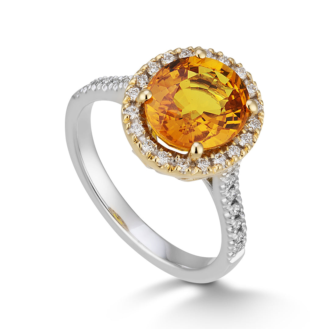 Golay ring z.orange oval 9x7 and diam contour and shank ACLCG427DIZO97-24068110042