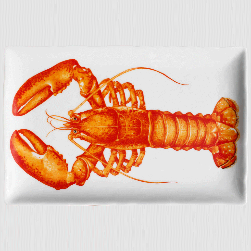 Tait ⁇  prato prato de servir lagosta retangular porcelana Fine Bone China 12-10-9-A