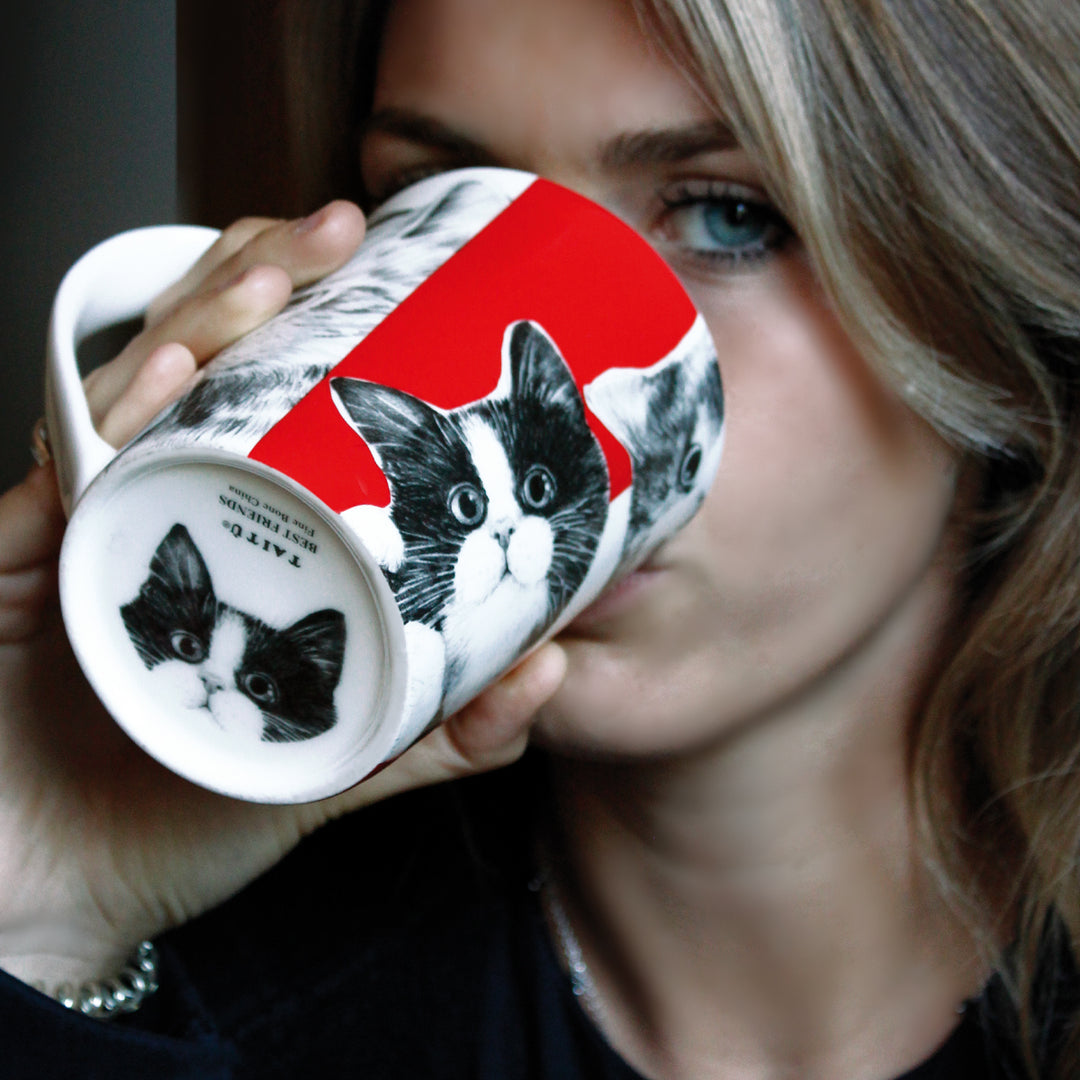 Tait ⁇  mug Cats Best Friends مجموعة الصين غرامة العظام الصين 14-1-4 CATS